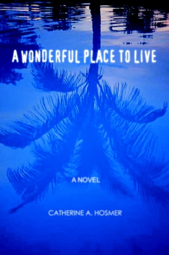 A Wonderful Place to Live av Catherine A Hosmer (Paperback)