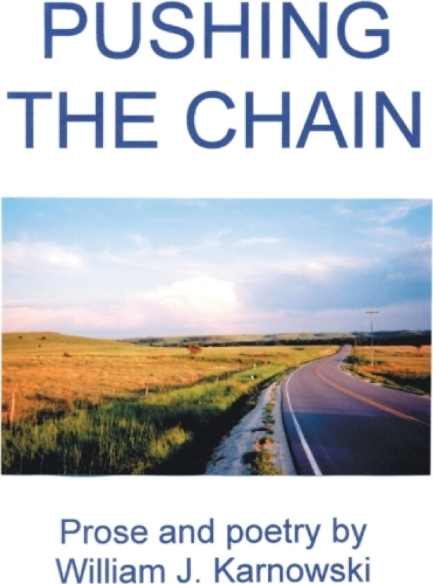 Pushing the Chain av William J Karnowski (Paperback)