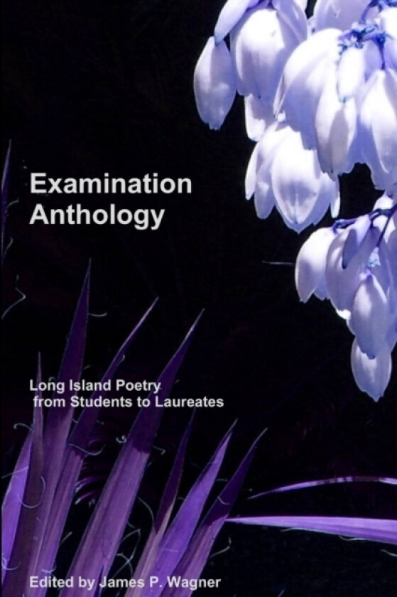 Examination Anthology av James P Wagner (Paperback)