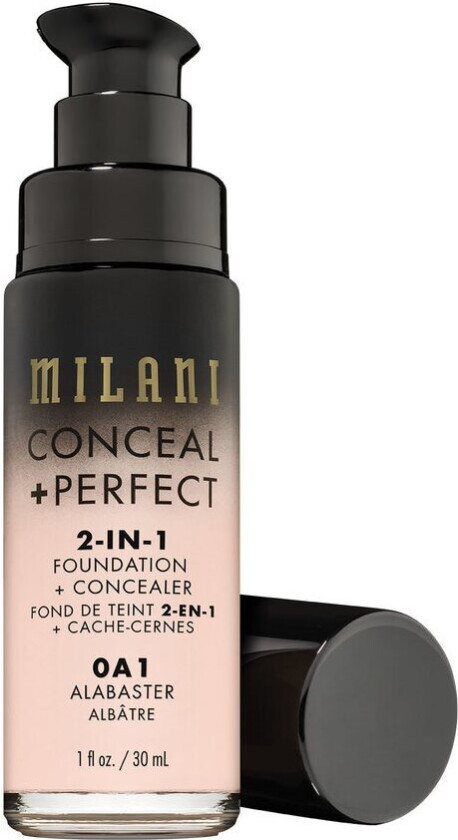 Conceal + Perfect 2 In 1 Foundation + Concealer