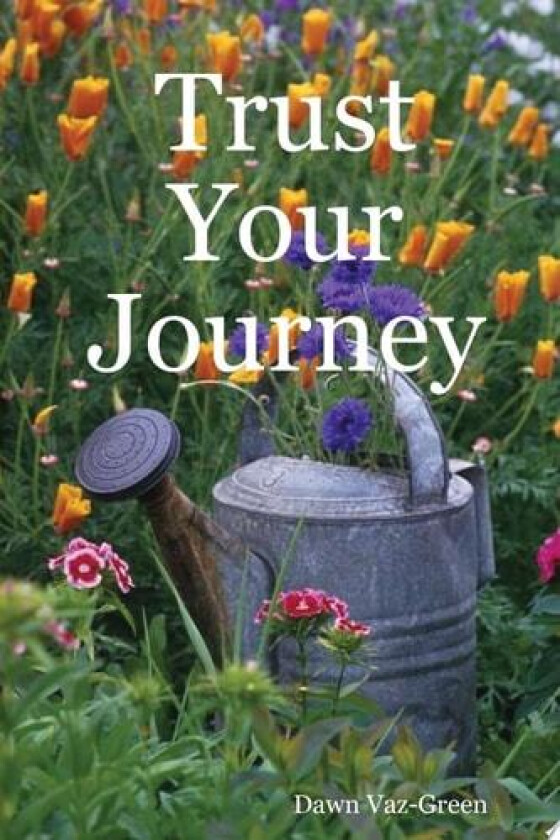 Trust Your Journey av Dawn Vaz-Green (Paperback)
