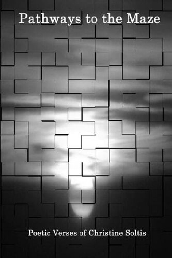 Pathways to the Maze av Christine Soltis (Paperback)