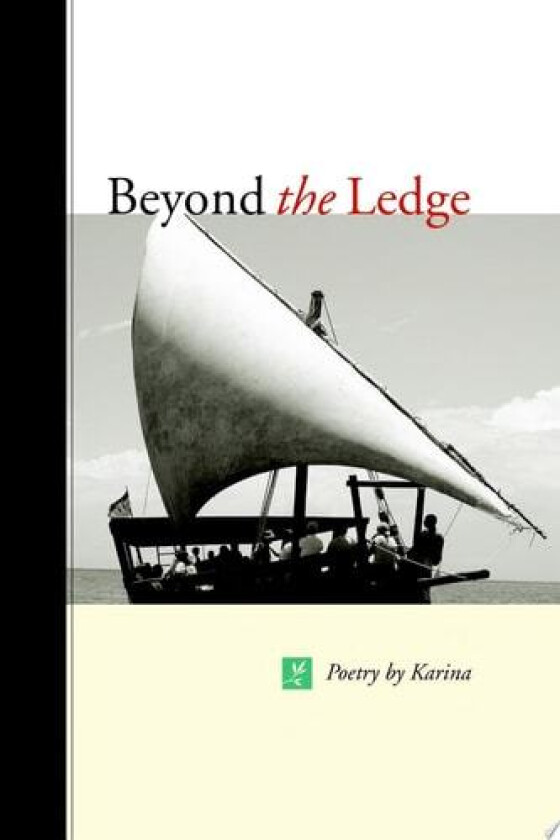 Beyond the Ledge av Karen Safer (Paperback)