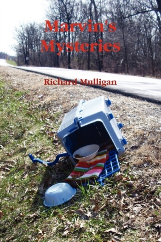 Marvin's Mysteries av Richard Mulligan (Paperback)