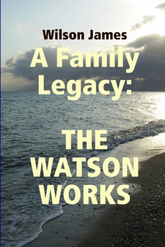The Watson Works av Wilson James (Paperback)