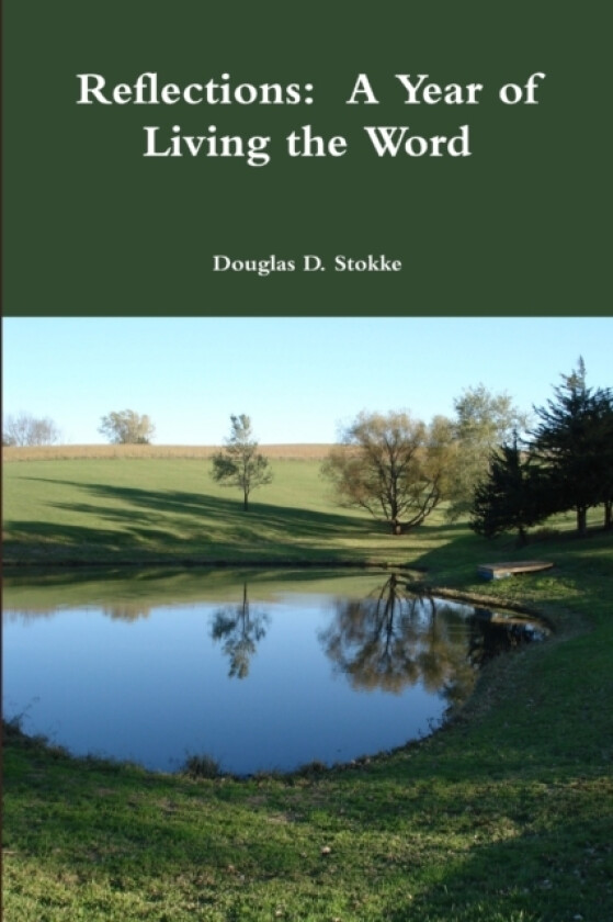 Reflections av Douglas D Stokke (Paperback)