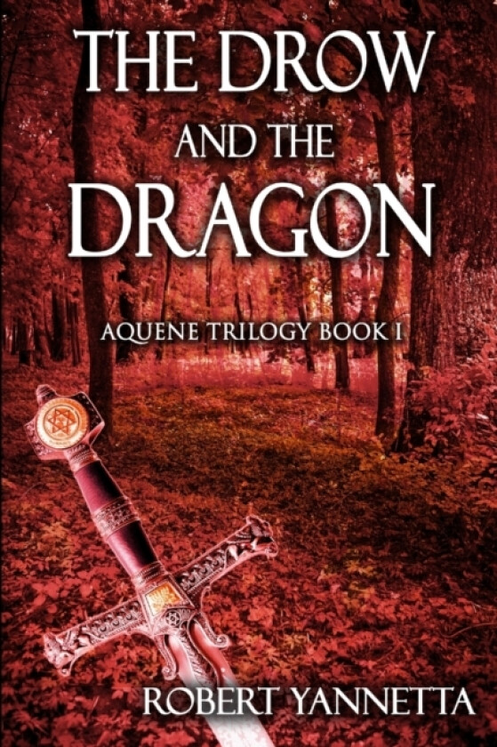 The Drow and the Dragon av Robert Yannetta (Paperback)
