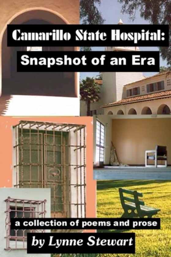 Camarillo State Hospital av Lynne Stewart (Paperback)