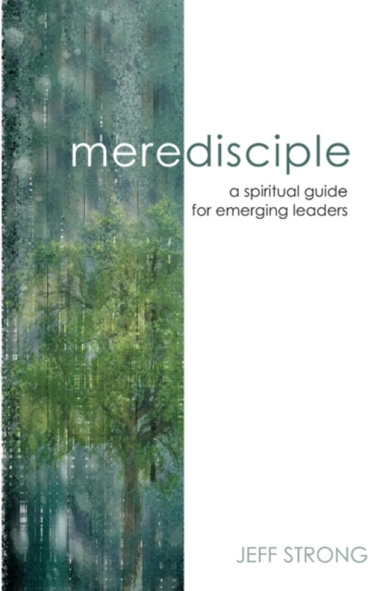 Mere Disciple av Jeff Strong (Paperback)