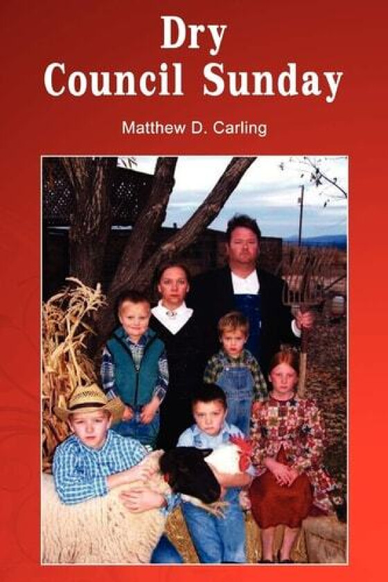 Dry Council Sunday av Matthew Carling (Paperback)