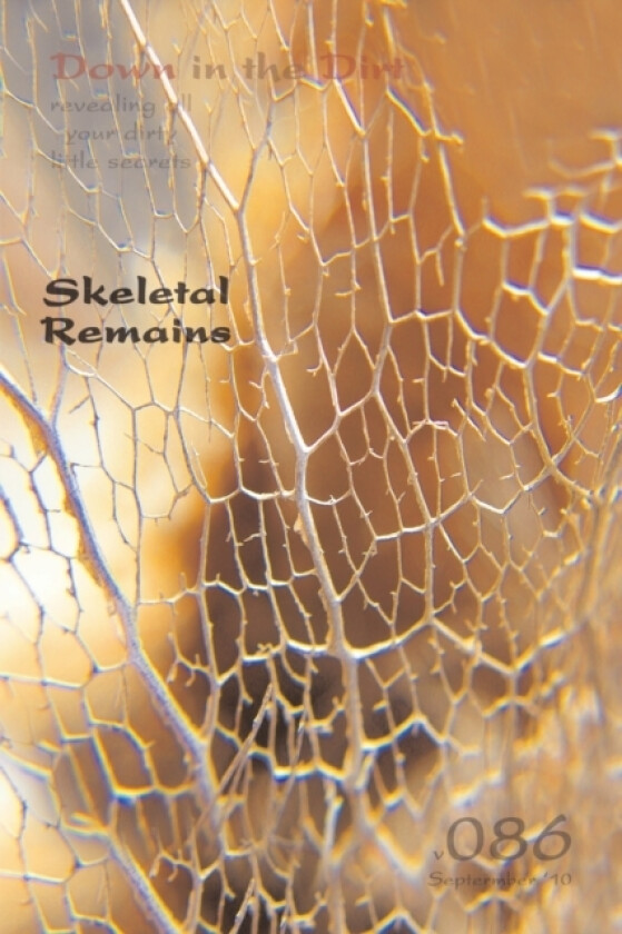Skeletal Remains (Down in the Dirt v086) av Assorted Writers (Paperback)