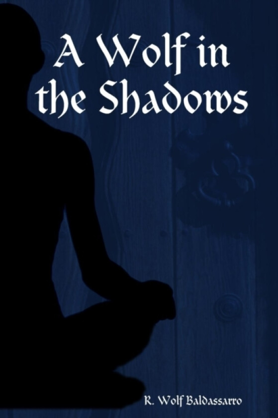 A Wolf in the Shadows av R.Wolf Baldassarro (Paperback)