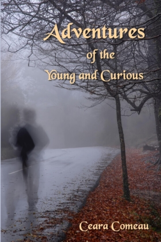 Adventures of the Young and Curious av Ceara Comeau (Paperback)