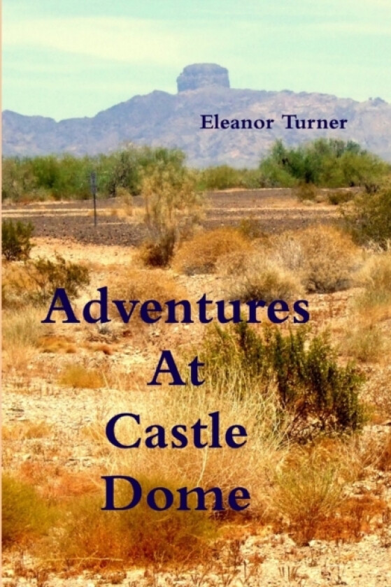 Adventures At Castle Dome av Eleanor Turner (Paperback)
