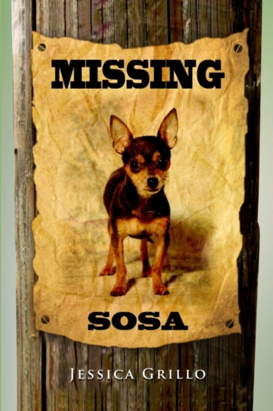 Missing Sosa av Jessica Grillo (Paperback)