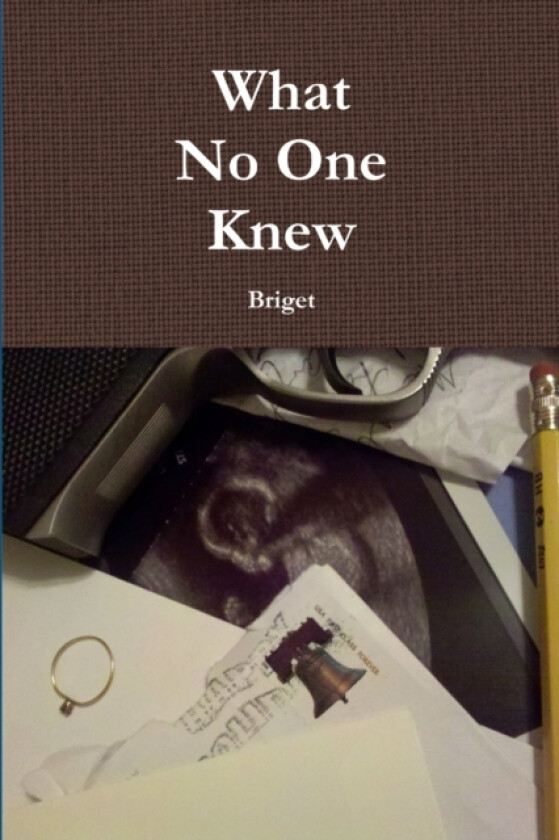 What No One Knew av Briget (Paperback)