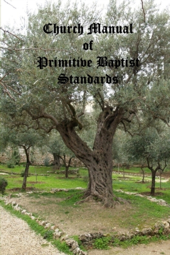 Standards Manual av Manual Committee (Paperback)