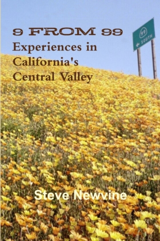 9 from 99 - Experiences in California's Central Valley av Steve Newvine (Paperback)