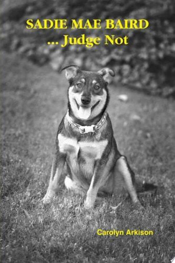SADIE MAE BAIRD ... Judge Not av Carolyn Arkison (Paperback)