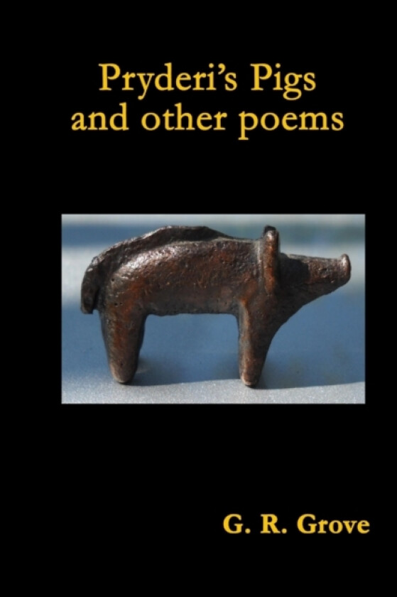 Pryderi's Pigs and Other Poems av G.R. Grove (Paperback)