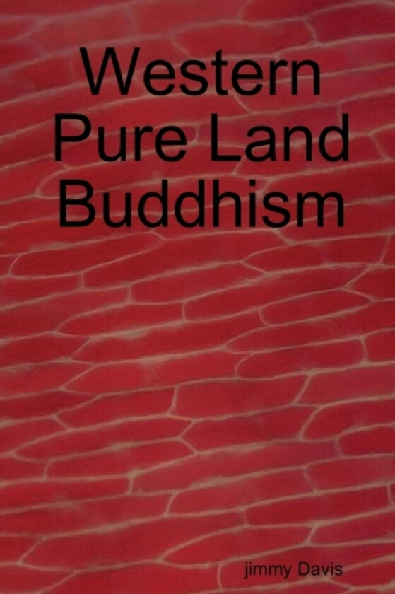 Western Pure Land Buddhism av jimmy Davis (Paperback)