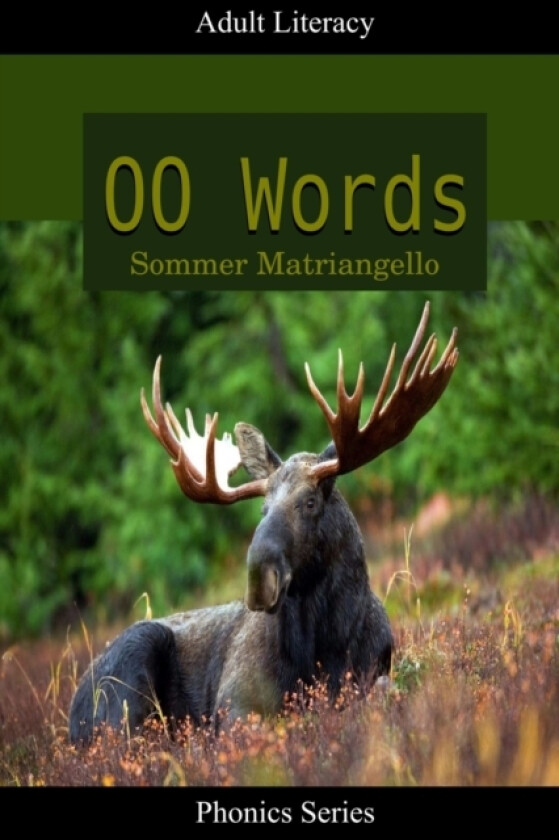 OO Words av Sommer Matriangello (Paperback)