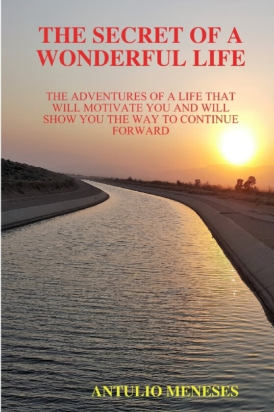 The Secret of a Wonderful Life av Antulio Meneses (Paperback)
