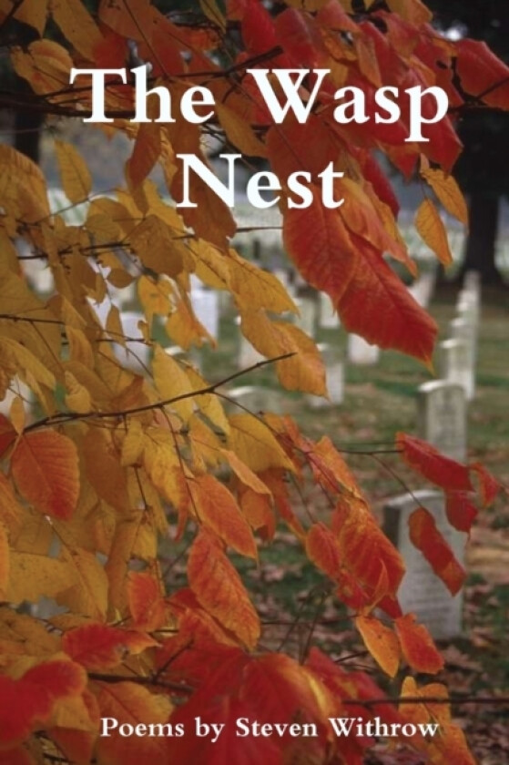 The Wasp Nest: Poems av Steven Withrow (Paperback)