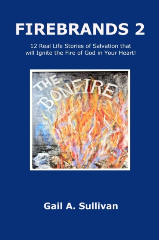FIREBRANDS 2 ~ 12 Real Life Stories of Salvation that will Ignite the Fire of God in Your Heart! av Gail A. Sullivan (Paperback)