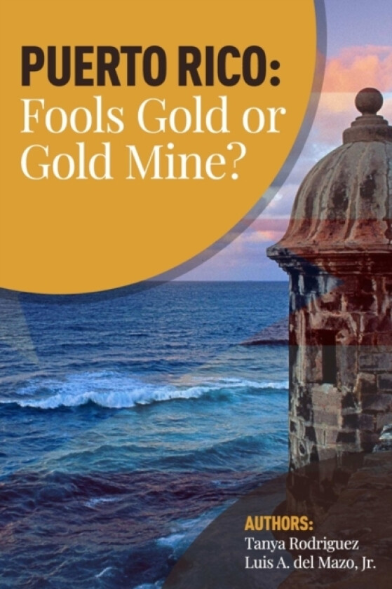 Puerto Rico: Fools Gold or Gold Mine? av Luis Del Mazo (Paperback)