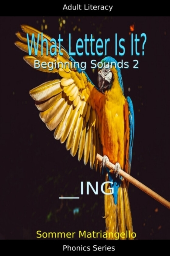 What Letter Is It? Beginning Sounds 2 av Sommer Matriangello (Paperback)