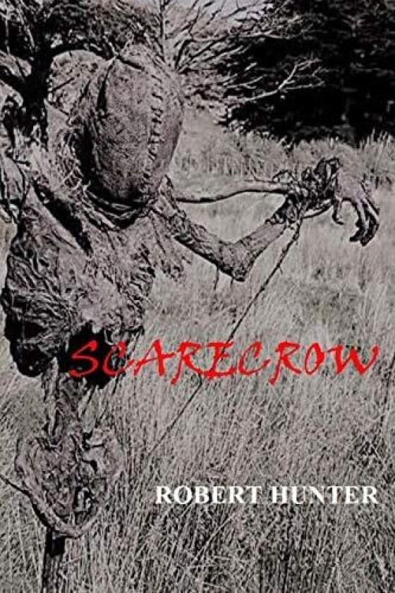 Scarecrow av Robert Hunter (Paperback)