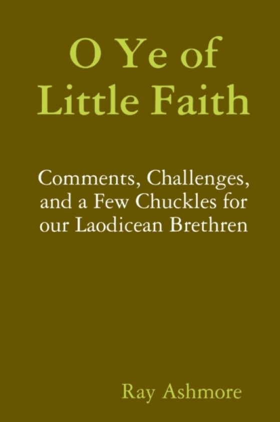 O Ye of Little Faith av Ray Ashmore (Paperback)