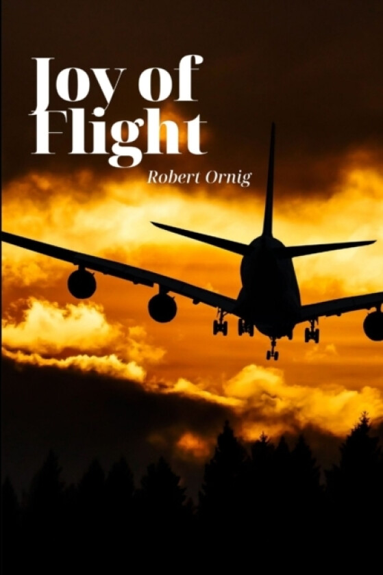 Joy of Flight av Robert Ornig (Paperback)