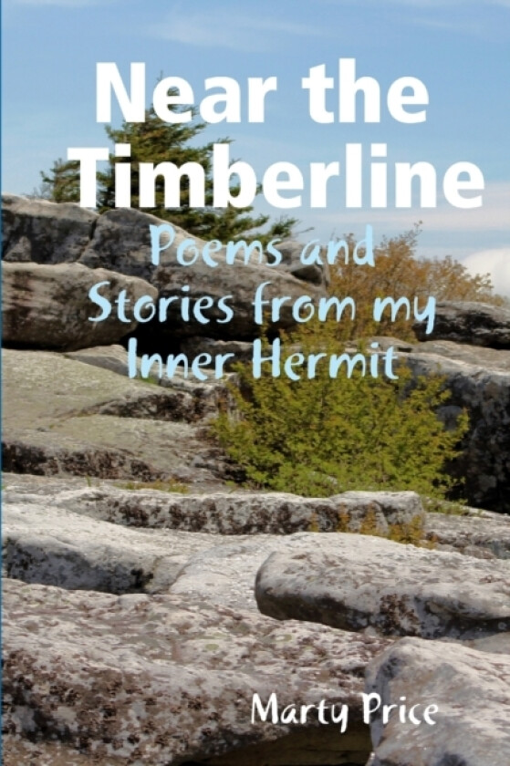 Near the Timberline: Poems and Stories from My Inner Hermit av Marty Price (Paperback)