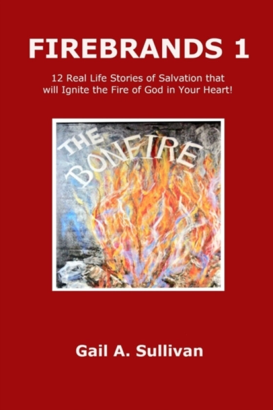 FIREBRANDS 1 ~ 12 Real Life Stories of Salvation that will Ignite the Fire of God in Your Heart! av Gail A. Sullivan (Paperback)