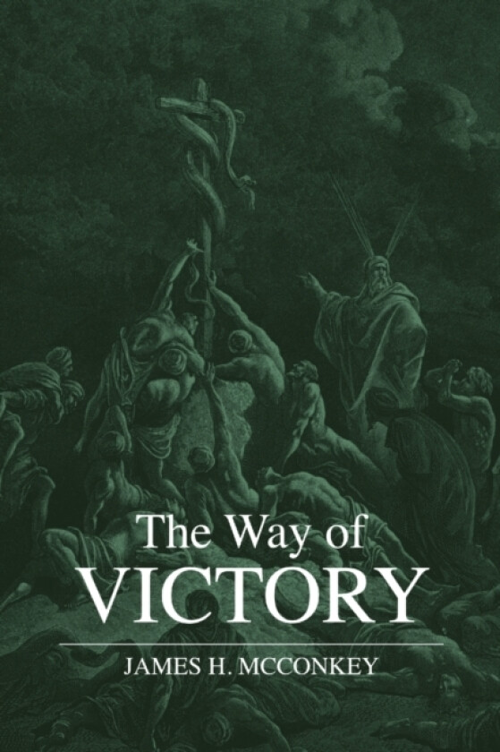 The Way of Victory av James McConkey (Paperback)