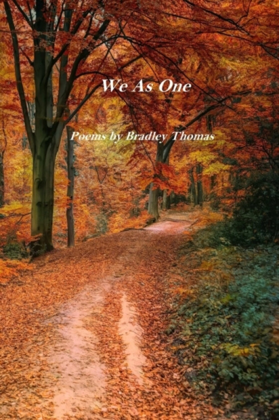 We As One av Bradley Thomas (Paperback)