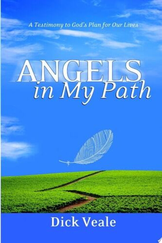 Angels in My Path av Dick Veale (Paperback)