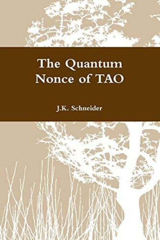 The Quantum Nonce of TAO av J K Schneider (Paperback)