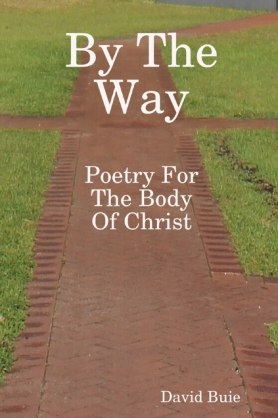 By The Way av David Buie (Paperback)