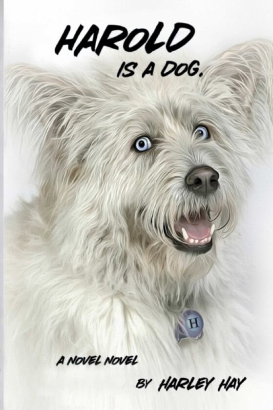 Harold Is A Dog. av Harley Hay (Paperback)