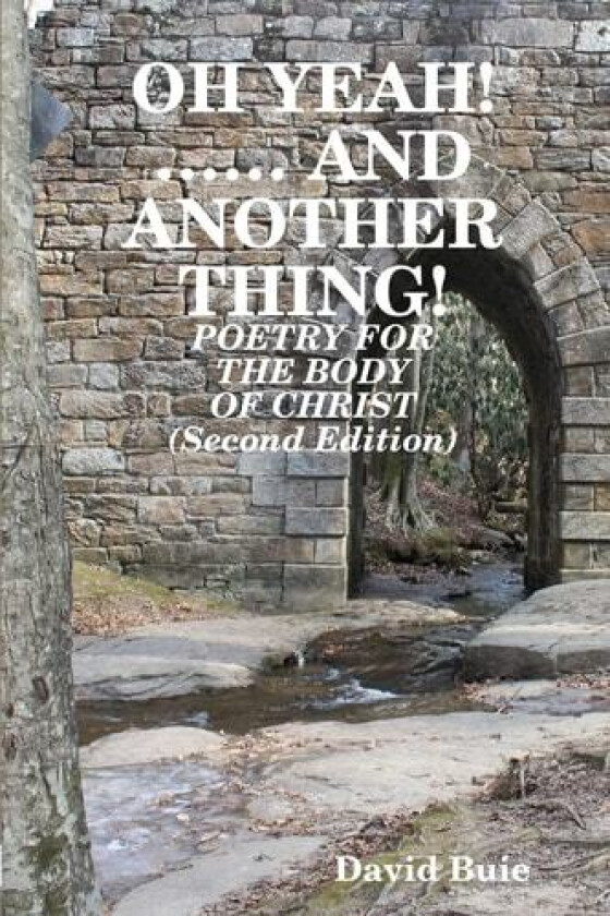 Oh Yeah!...... and Another Thing! av David Buie (Paperback)