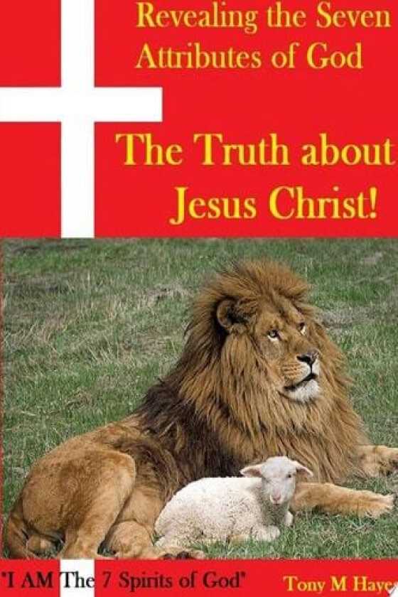Revealing the Seven Attributes of God The Truth about Jesus Christ av Tony M Hayes (Paperback)