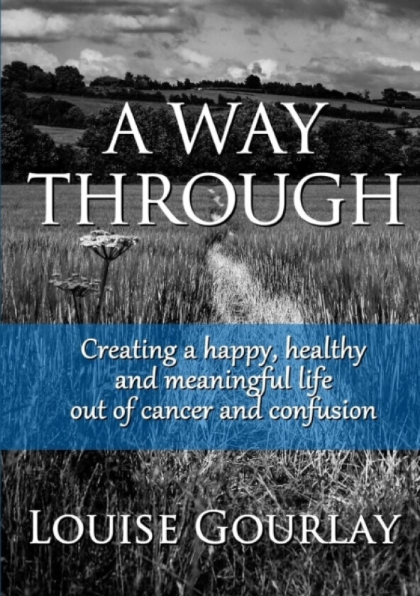 A Way Through av Louise Gourlay (Paperback)