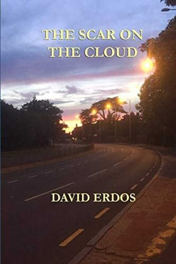 The Scar on the Cloud av Katzenbach Research Fellow David Erdos (Paperback)