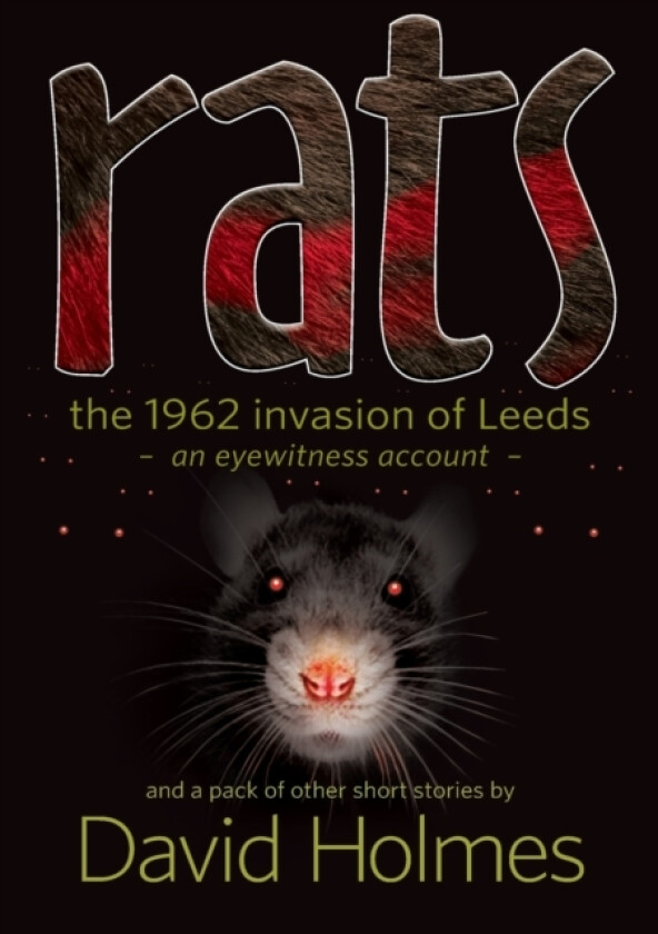 Rats av Dr David Holmes (Paperback)