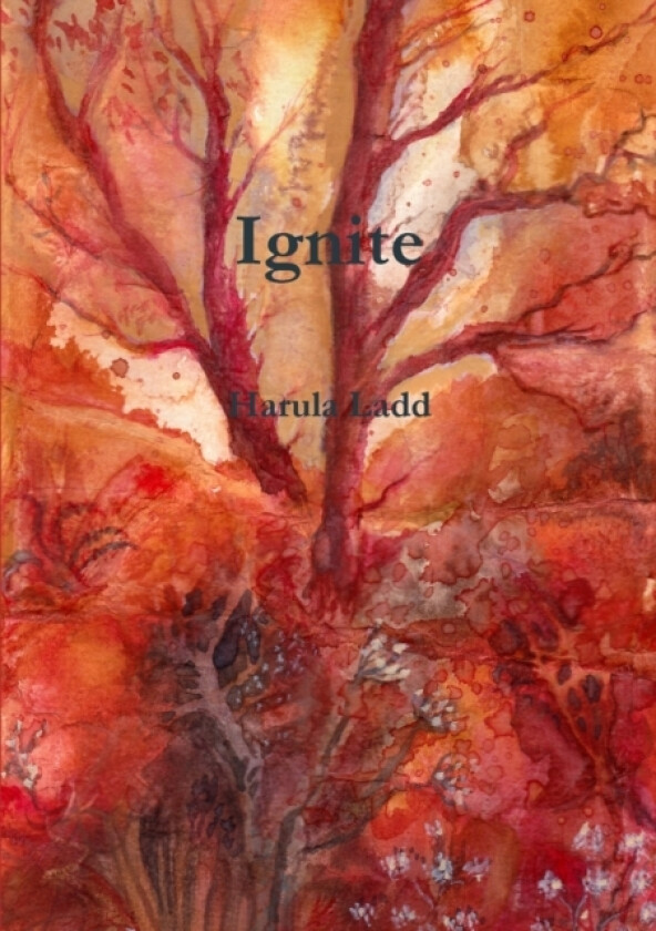 Ignite av Harula Ladd (Paperback)
