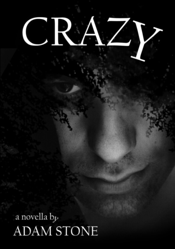 CRAZY av Adam Stone (Paperback)