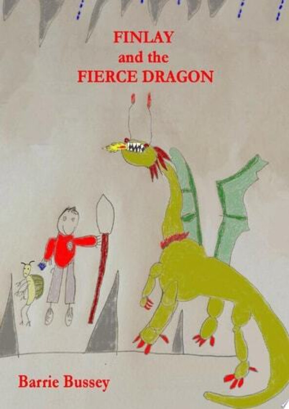 Finlay and The Fierce Dragon av BARRIE BUSSEY (Paperback)